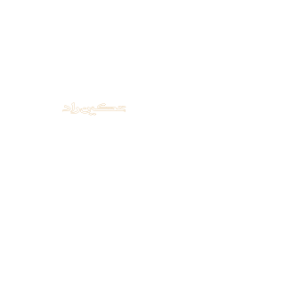 طراحی سایت ، طراحی رابط و تجربه کاربری